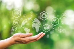 Environmental and Sustainability Practices are at the forefront of our considerations at RIS.